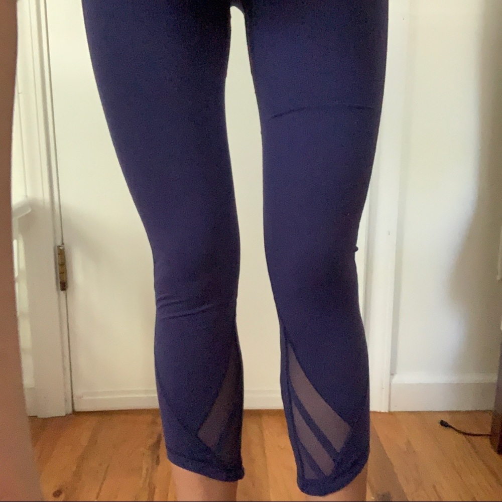 Lulu mesh crops